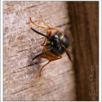 One piece at a time . . .