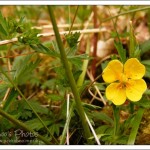 Spring – full of optimism