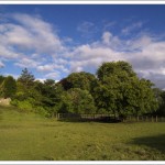 Close up photography experiments