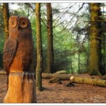 New woodland friends and new designs